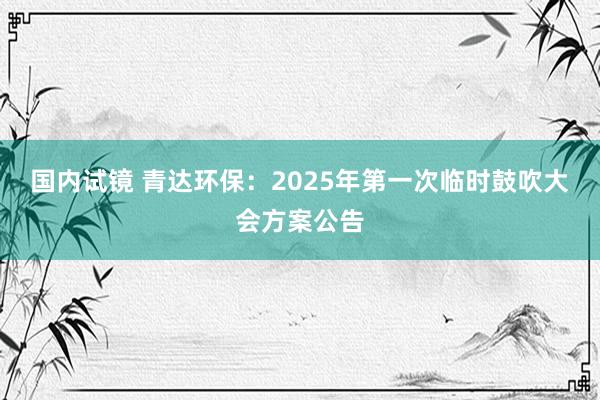 国内试镜 青达环保：2025年第一次临时鼓吹大会方案公告