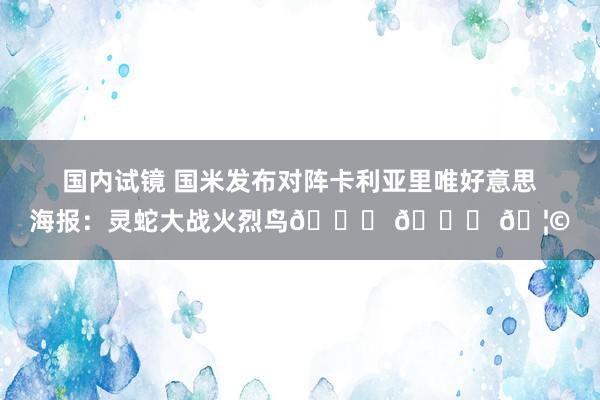 国内试镜 国米发布对阵卡利亚里唯好意思海报：灵蛇大战火烈鸟🐍 🆚 🦩